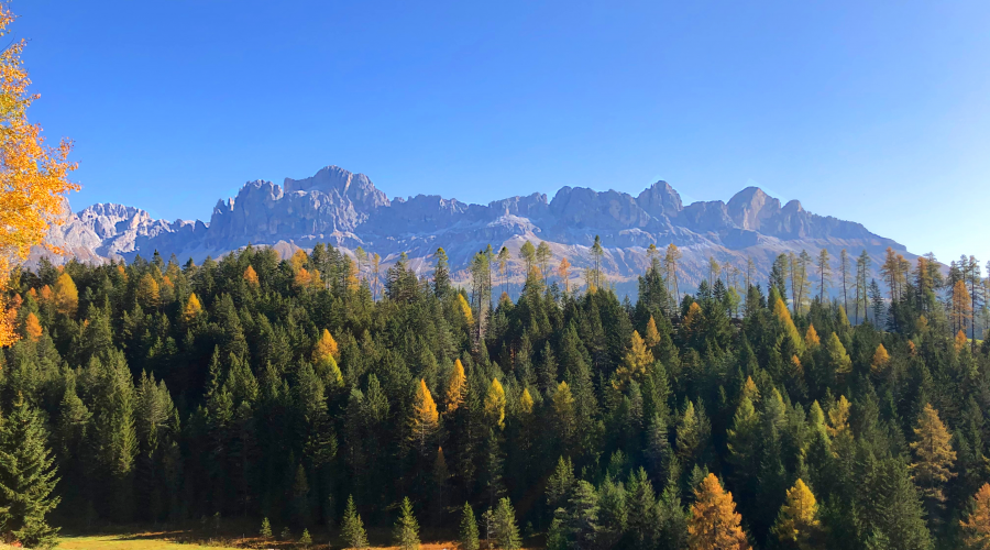 TitelbildSüdtirol2