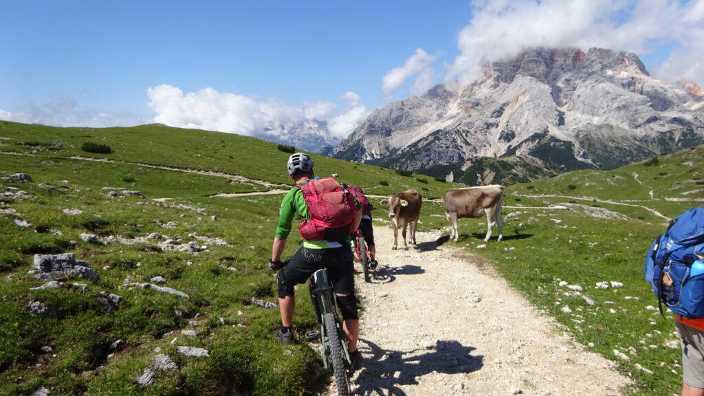 mtb tour dolomiten 4 tage