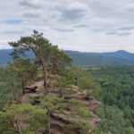 Dahner Felsenland E-MTB-Tour im Pfälzerwald