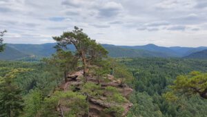 Dahner Felsenland E-MTB-Tour im Pfälzerwald