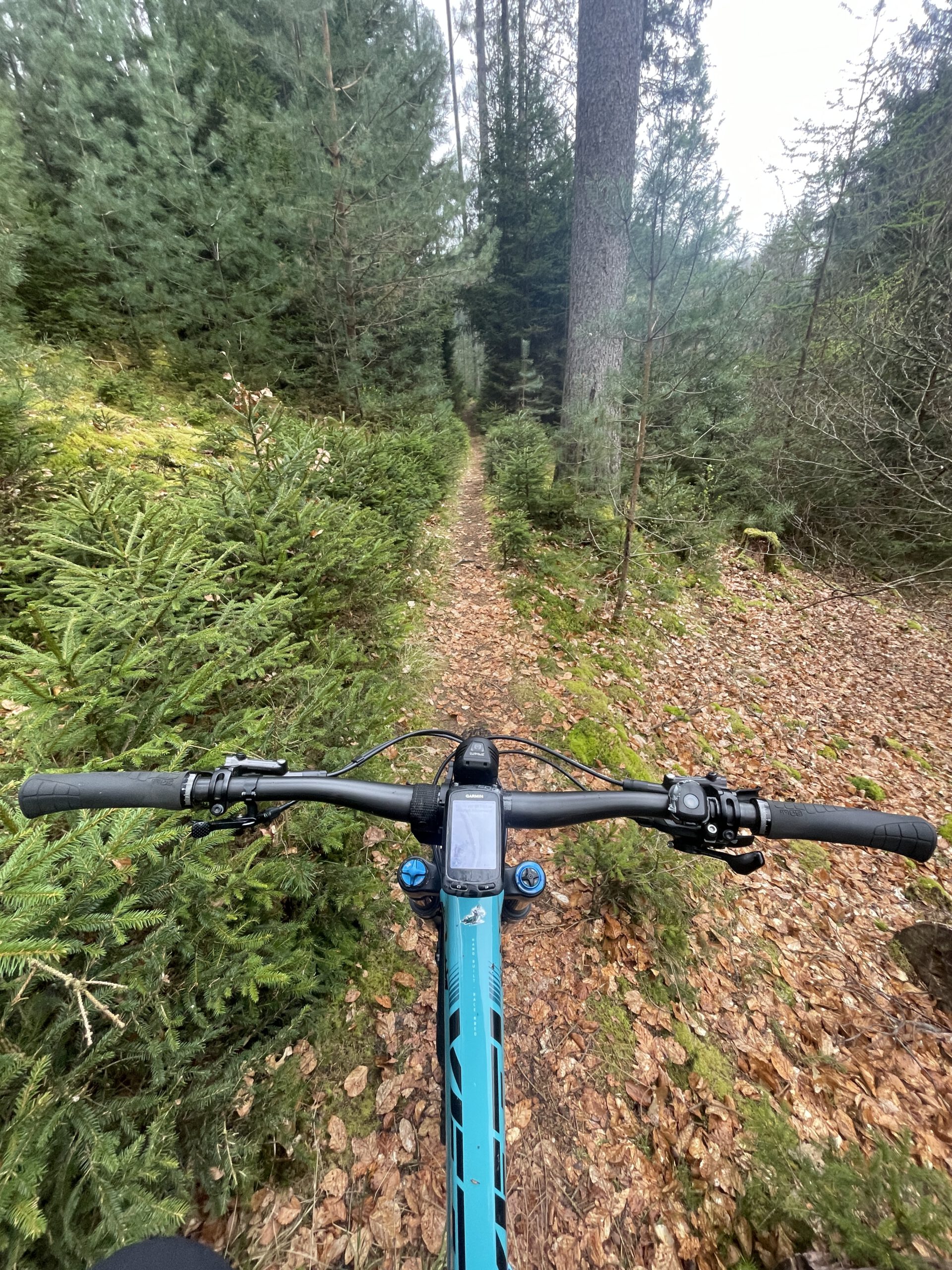 Trans Pfälzerwald Trail Nr. 4