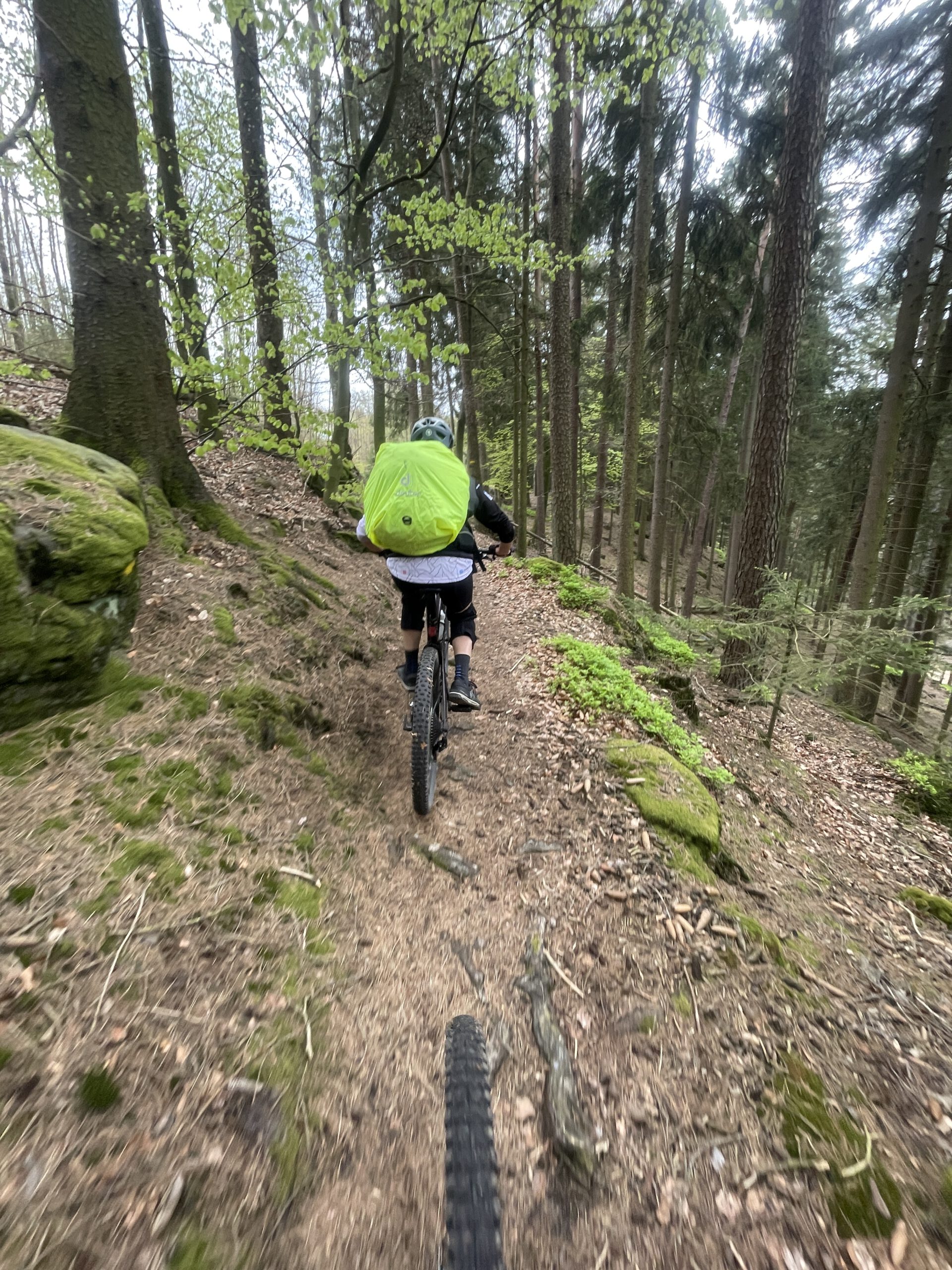 Auf den Trails der Trans Pfälzerwald