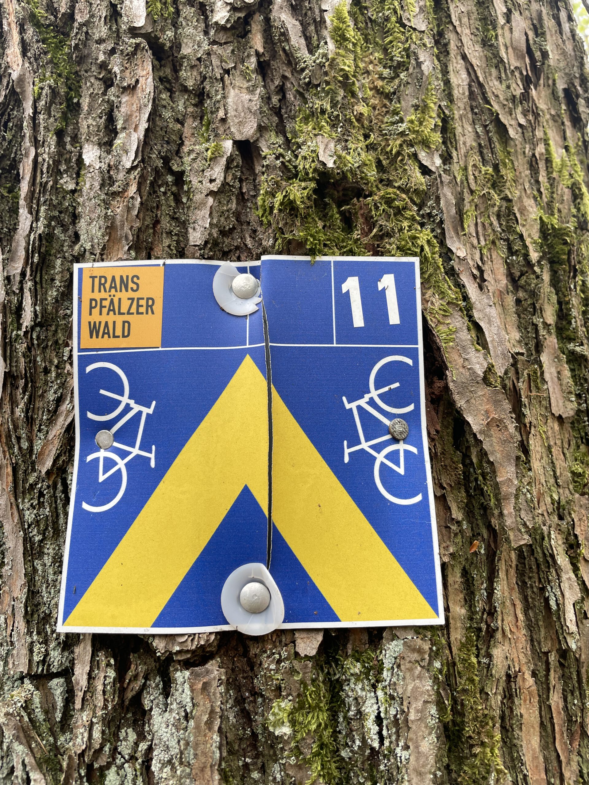 Trans Pfälzerwald Beschilderung