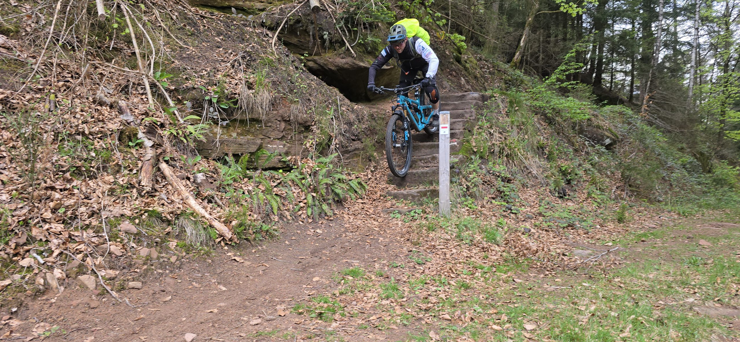 Voller Fokus auf den Trail der Trans Pfälzerwald
