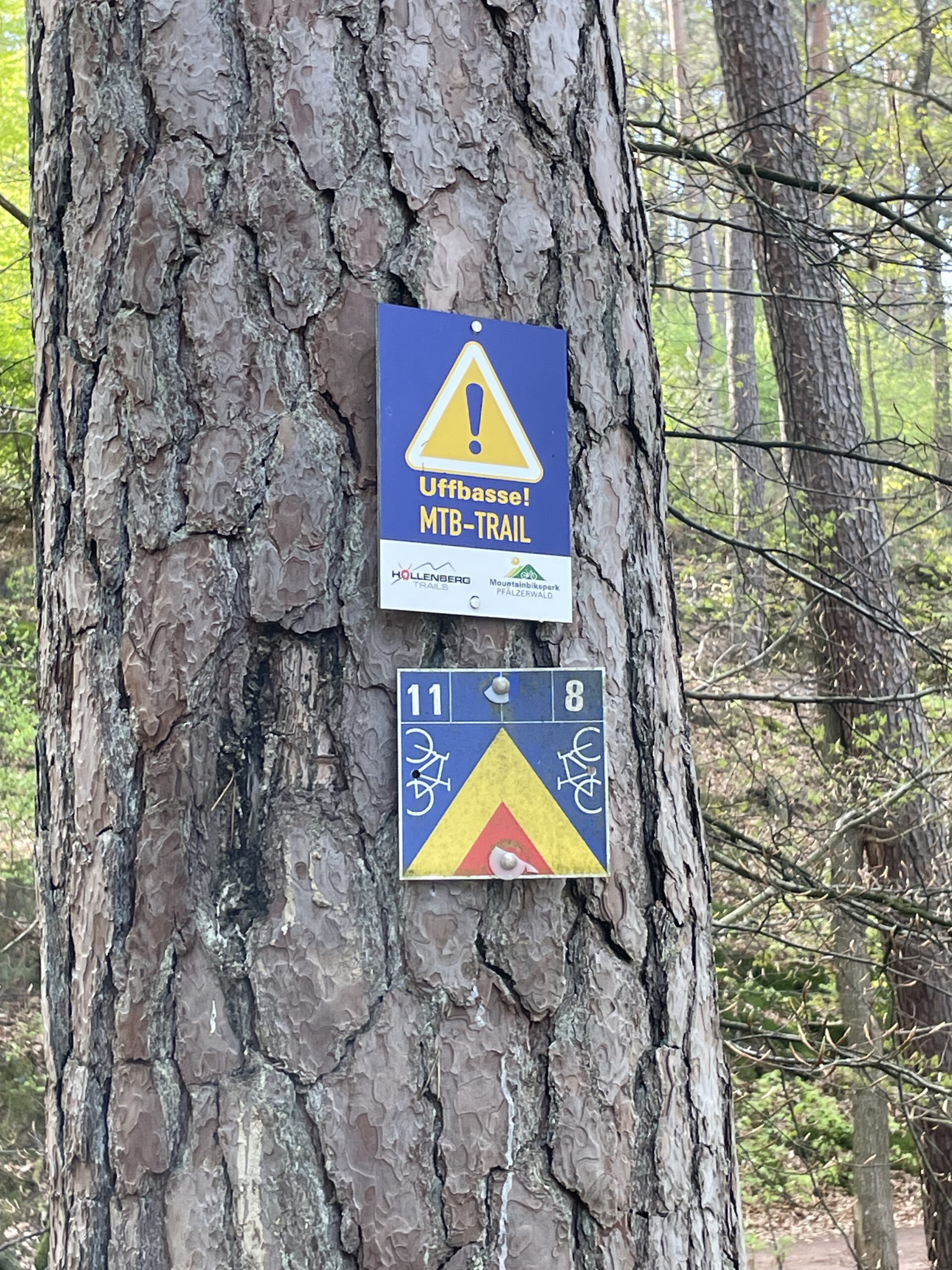 Trans Pfälzerwald MTB Trail