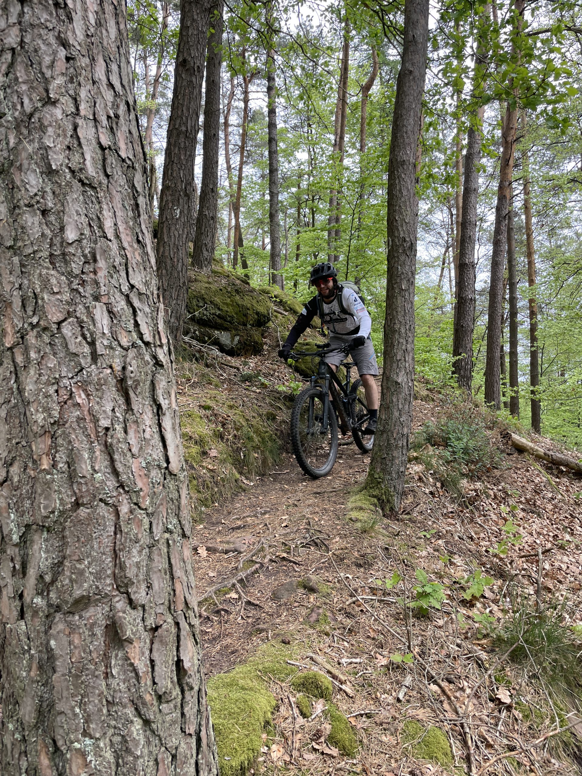 Trans Pfälzerwald Klaus Stark