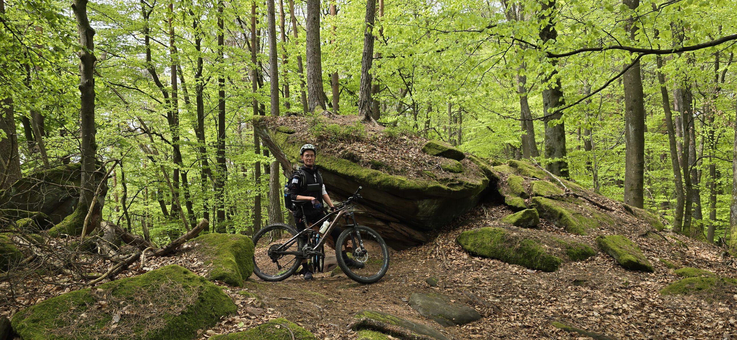 Martin Strauß im Pfälzer Wald