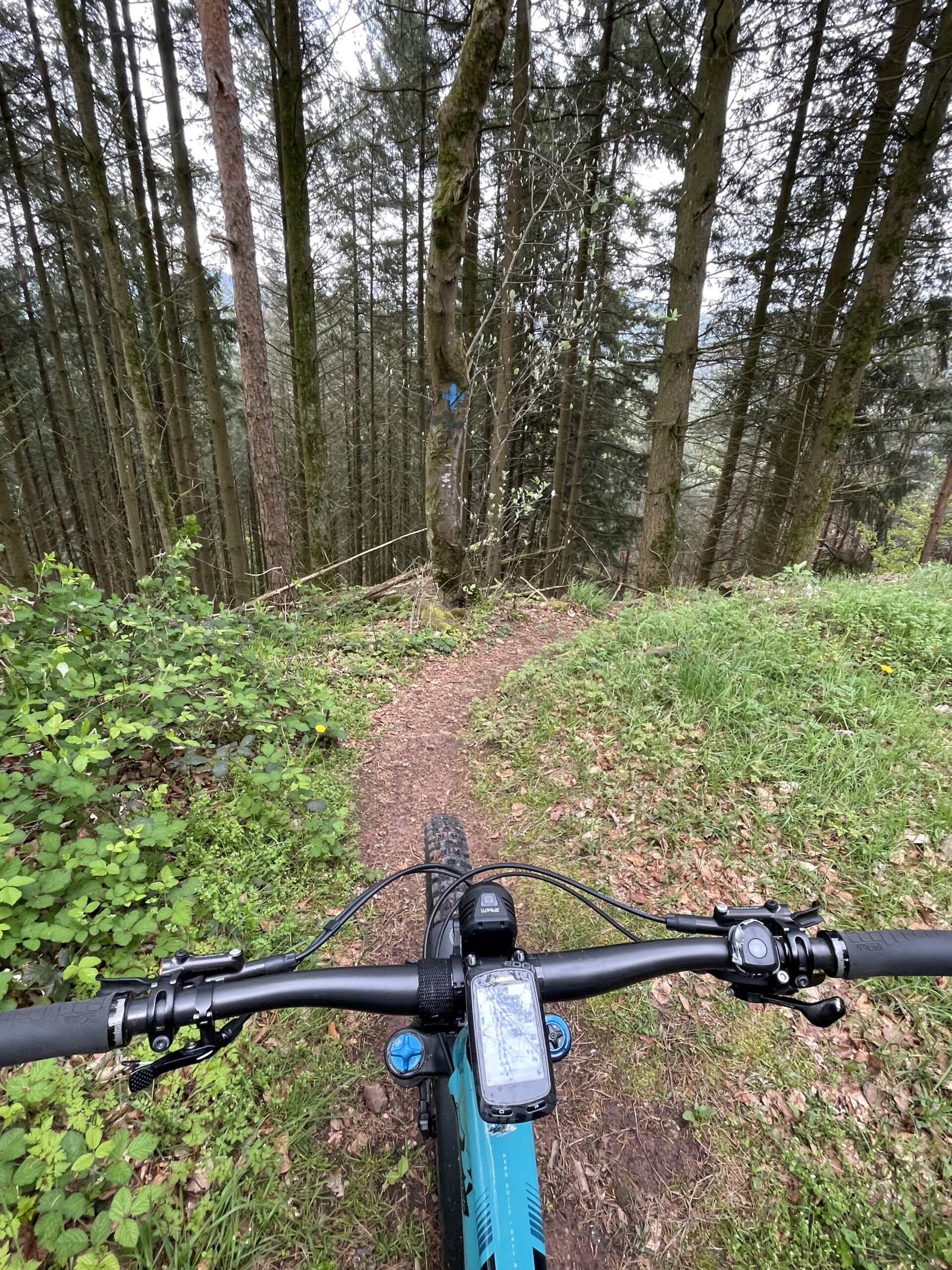 Trans Pfälzerwald Trails