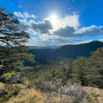 Trans Pfälzerwald