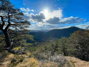 Trans Pfälzerwald