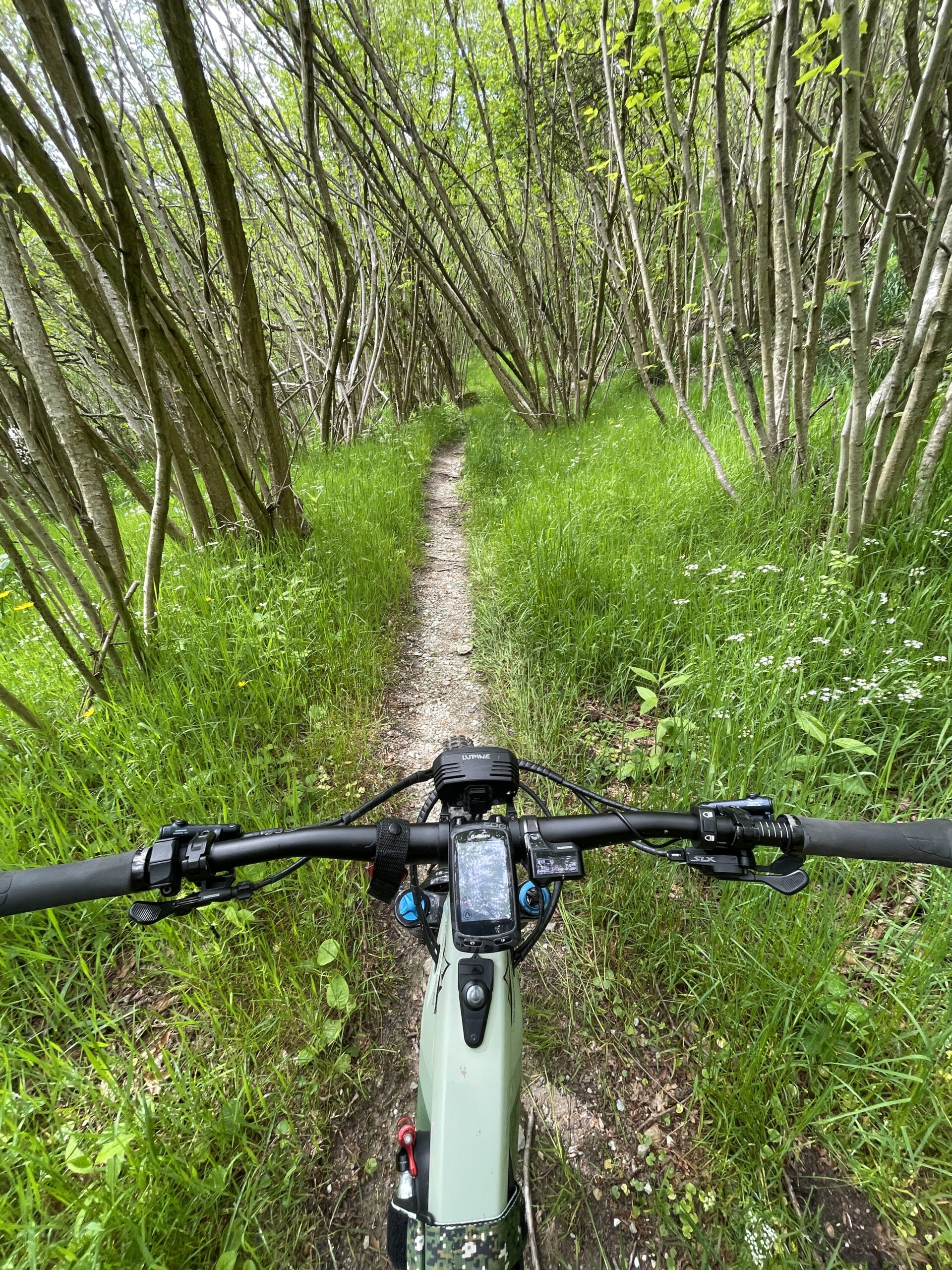 Trans Ligurien mit dem E-MTB: Von Finale Ligure nach Ventimiglia