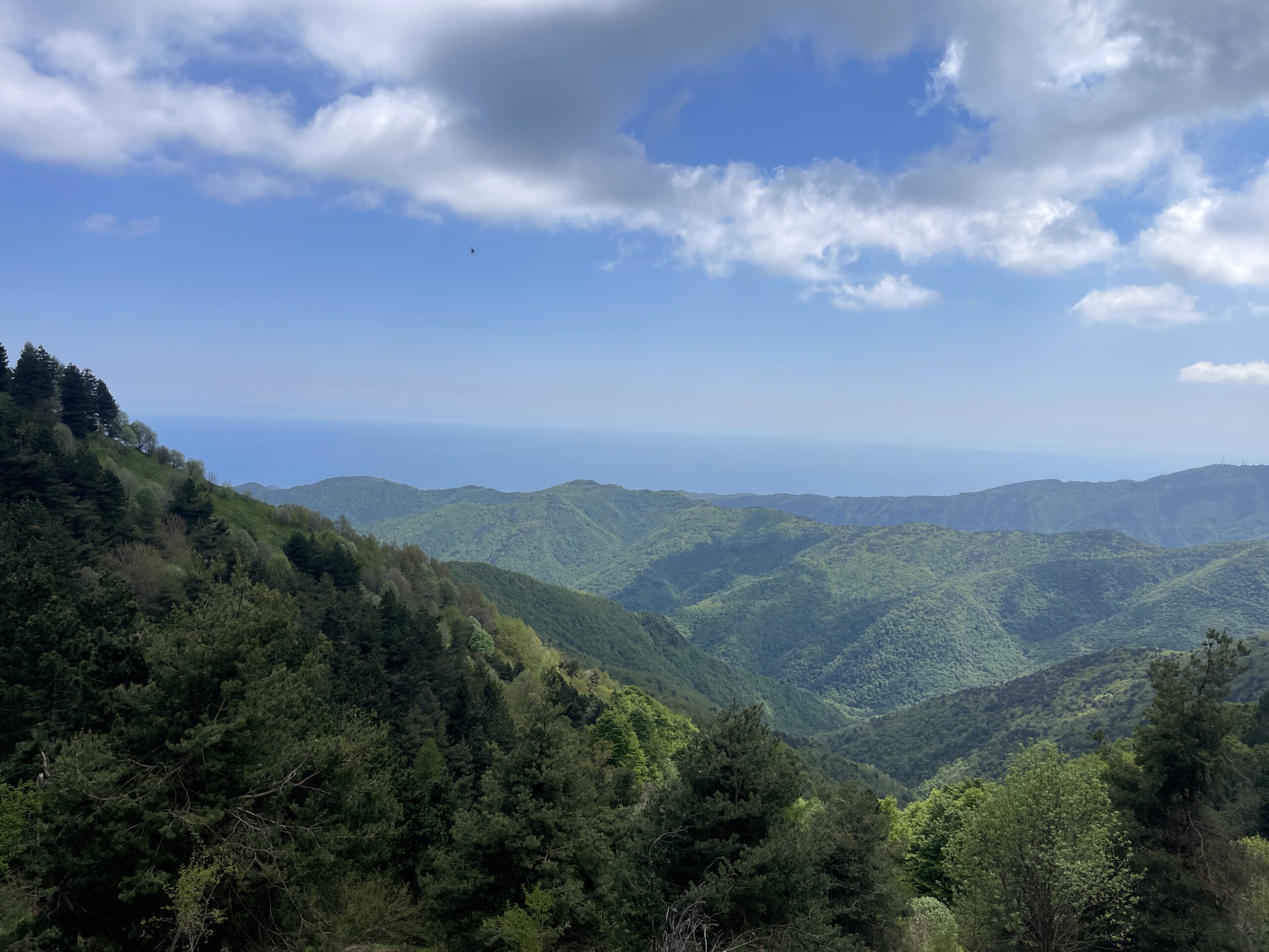 Trans Ligurien mit dem E-MTB: Von Finale Ligure nach Ventimiglia Blick auf das Meer