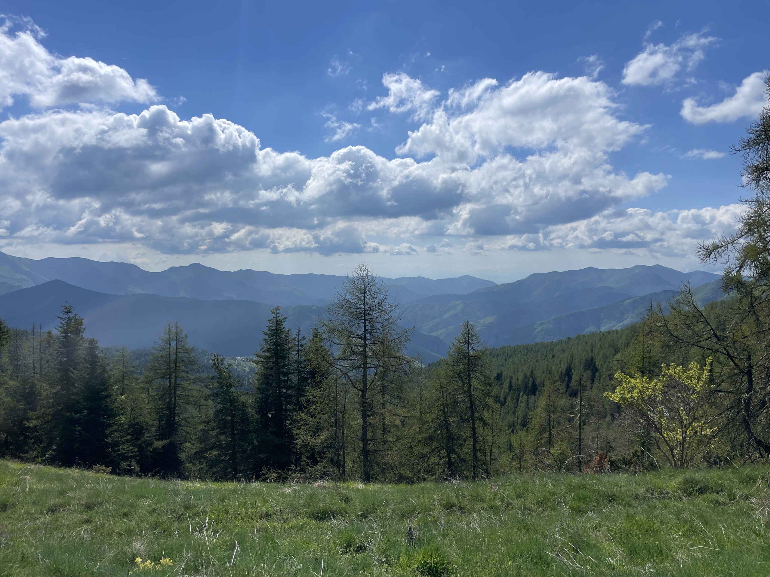 Trans Ligurien mit dem E-MTB: Von Finale Ligure nach Ventimiglia