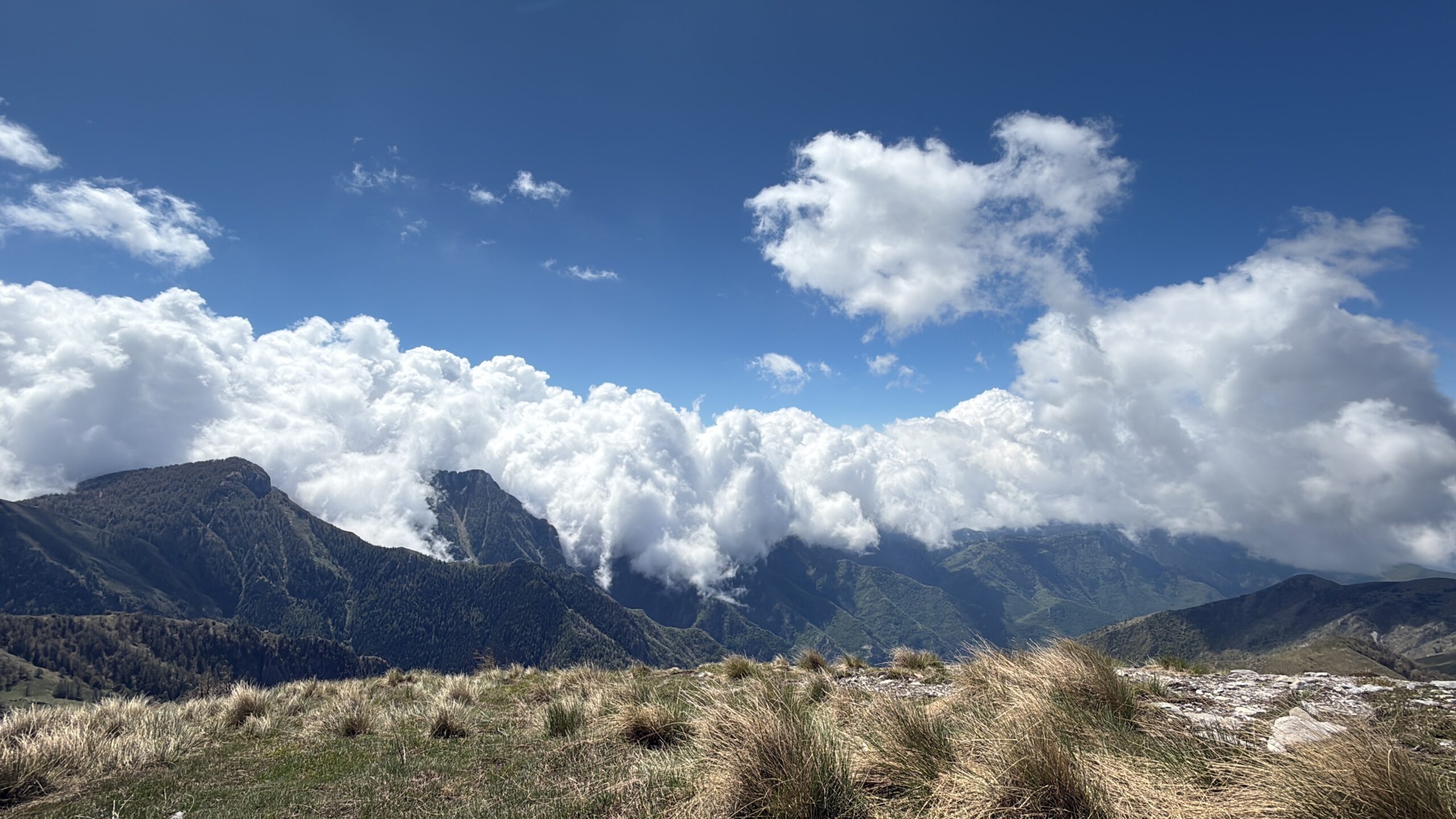 Trans Ligurien mit dem E-MTB: Von Finale Ligure nach Ventimiglia Ausblick auf die Ligurischen Alpen