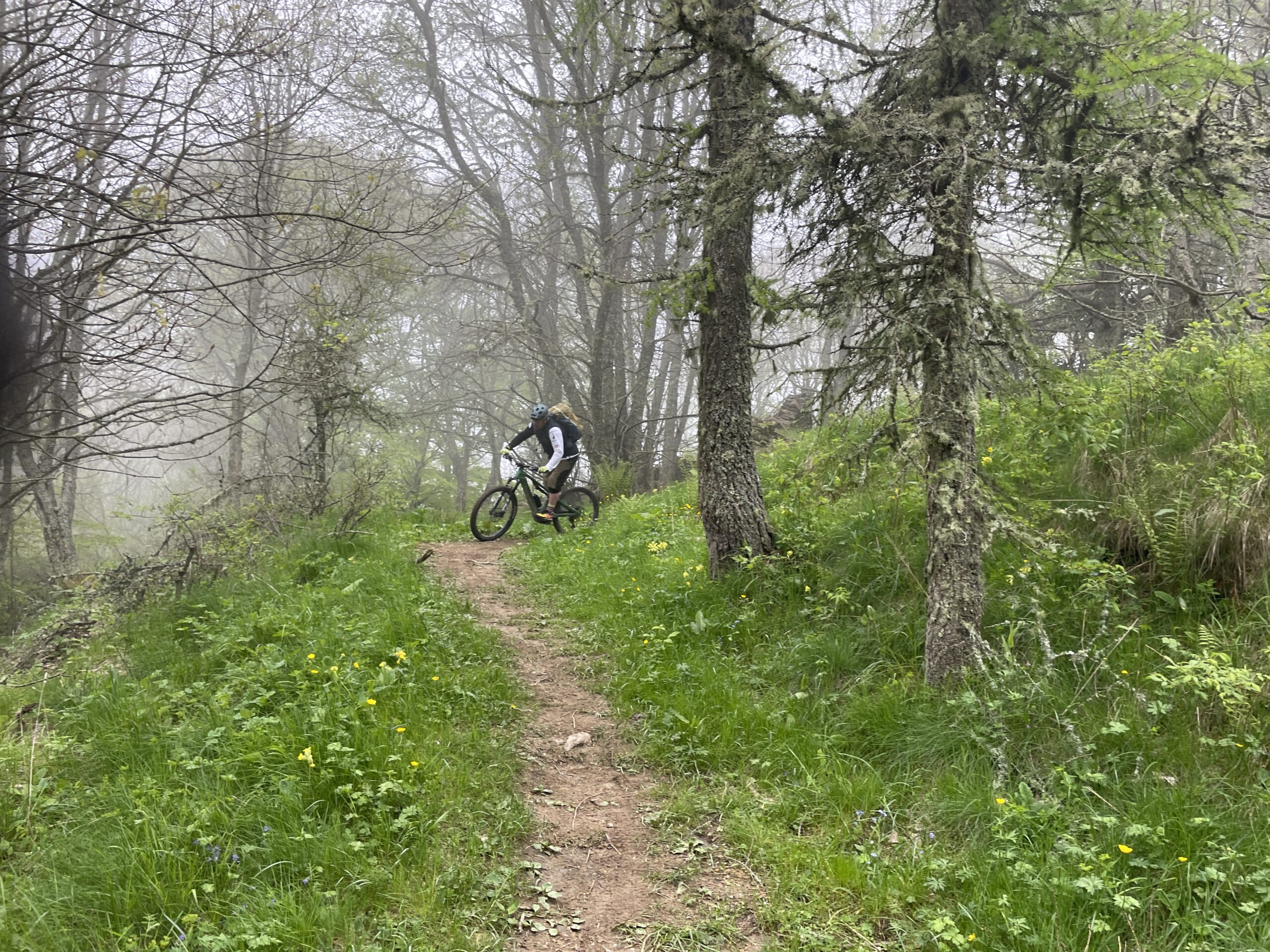 Trans Ligurien mit dem E-MTB: Von Finale Ligure nach Ventimiglia