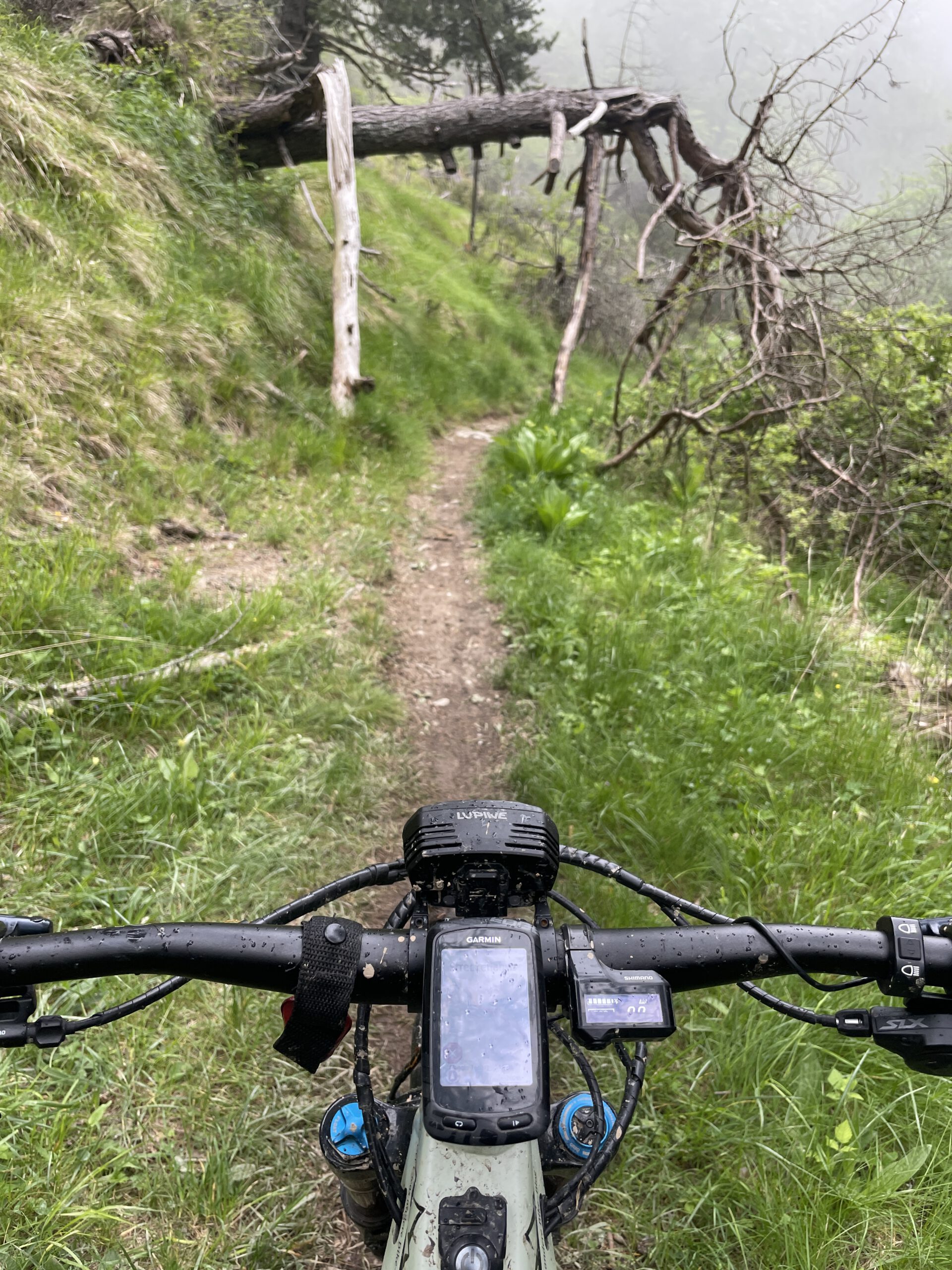 Trans Ligurien mit dem E-MTB: Von Finale Ligure nach Ventimiglia