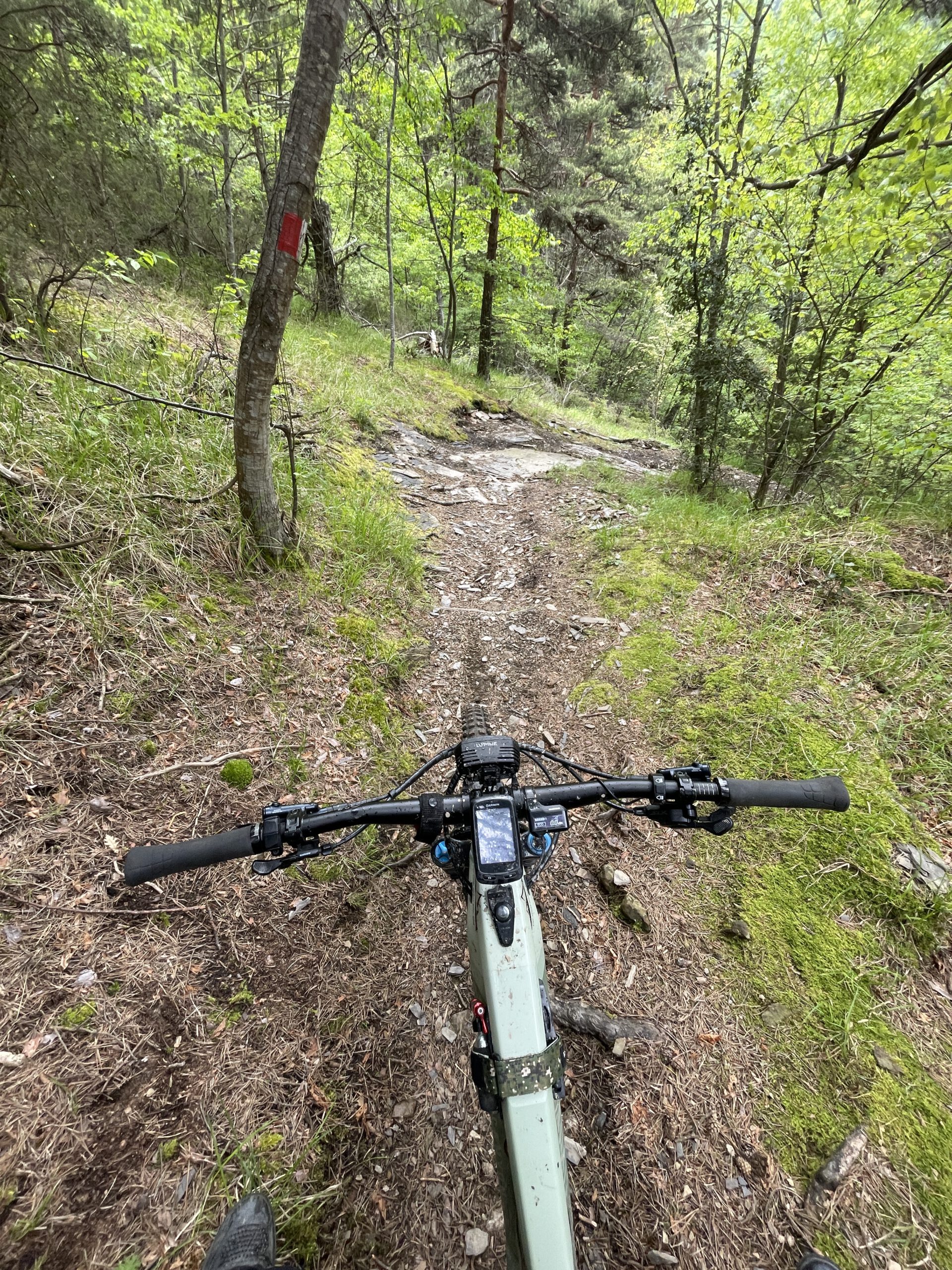 Trans Ligurien mit dem E-MTB: Von Finale Ligure nach Ventimiglia Trail nach Buggio
