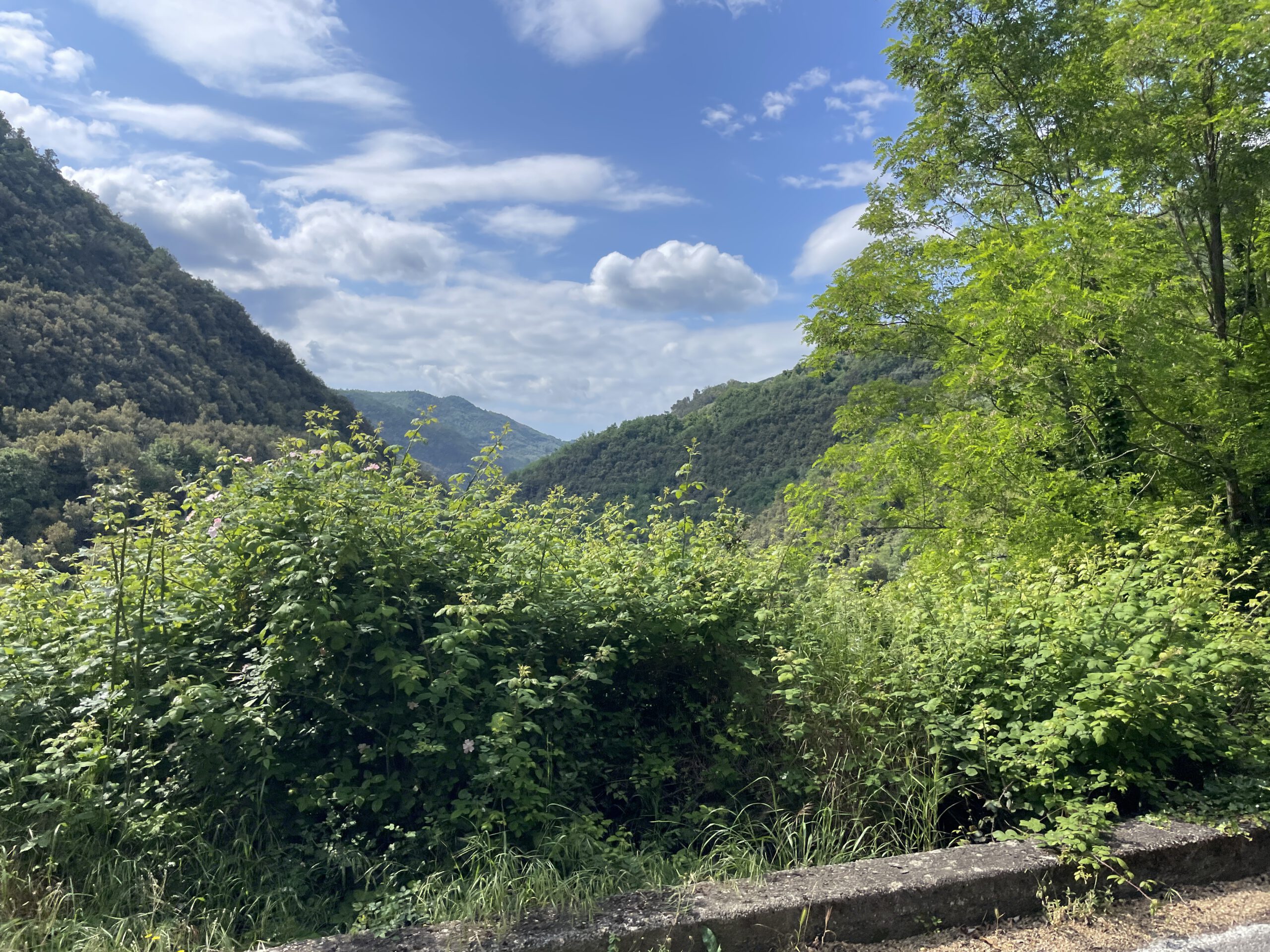 Trans Ligurien mit dem E-MTB: Von Finale Ligure nach Ventimiglia
