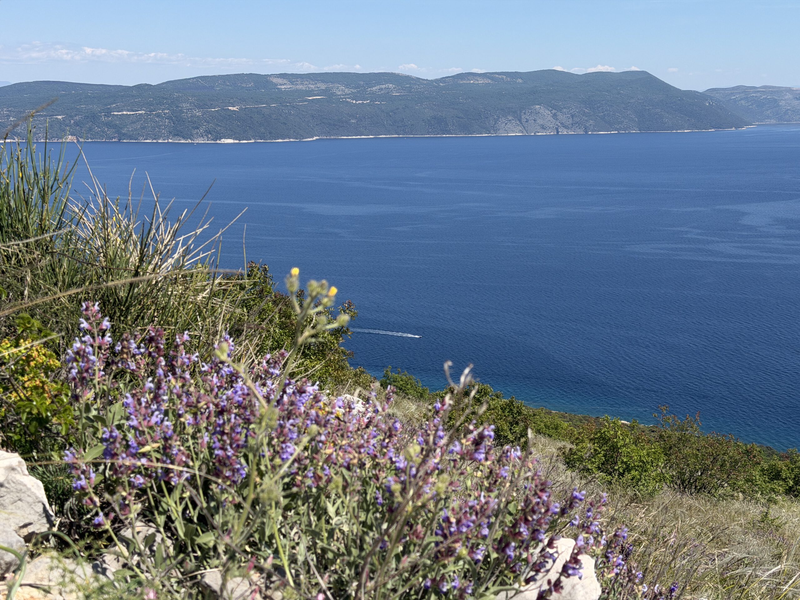 Aussicht zur Inscel Cres vom Bikepark Rabac Mountainbike und Segeln in Kroatien – MTB-Abenteuer in der Kvarner Bucht