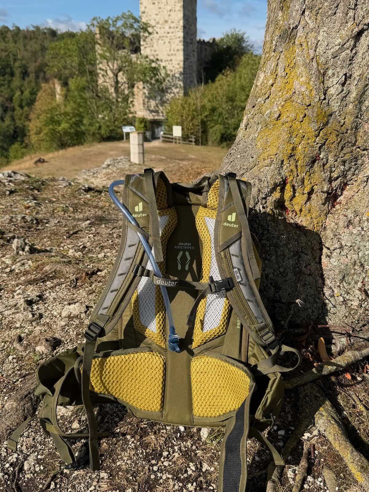 Rückensystem des Deuter Attack 20 mit Airstripes-Polsterung und Hüftflossen